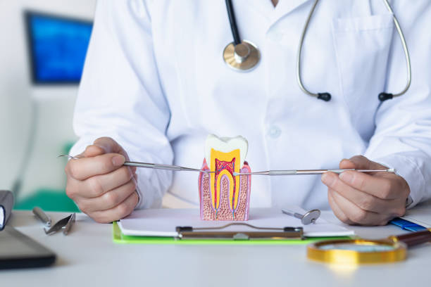Best Pediatric Emergency Dentist in Fountain Hill, PA
